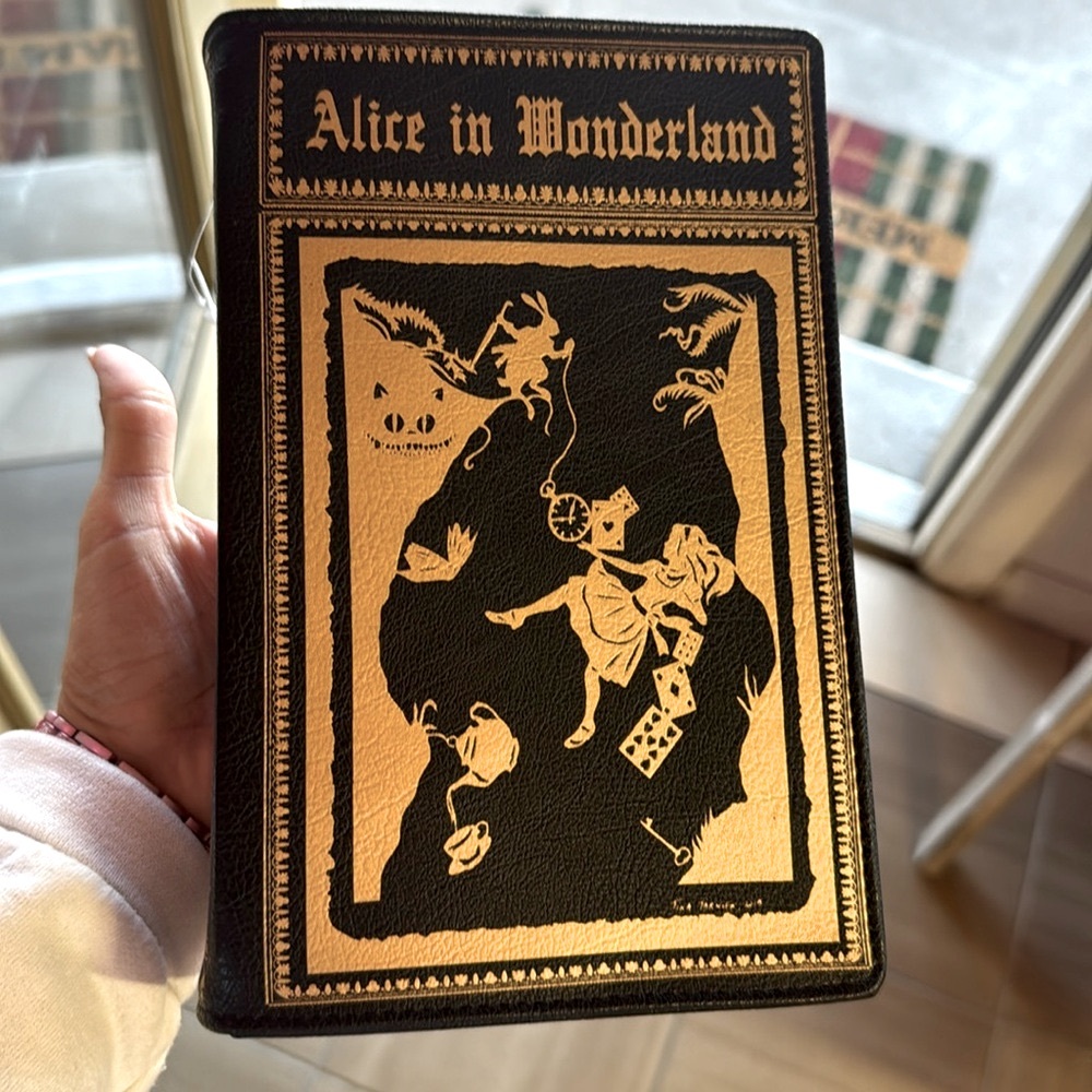 Book purse